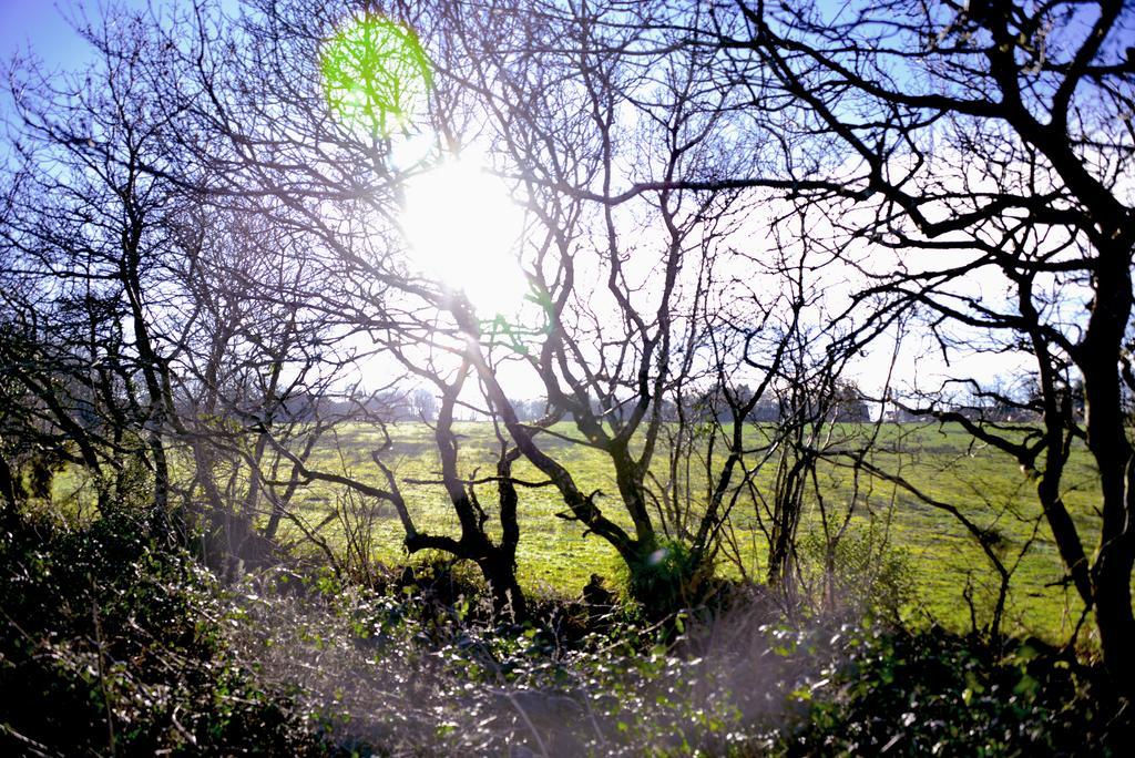 Thornbury Thornbury (Devon)