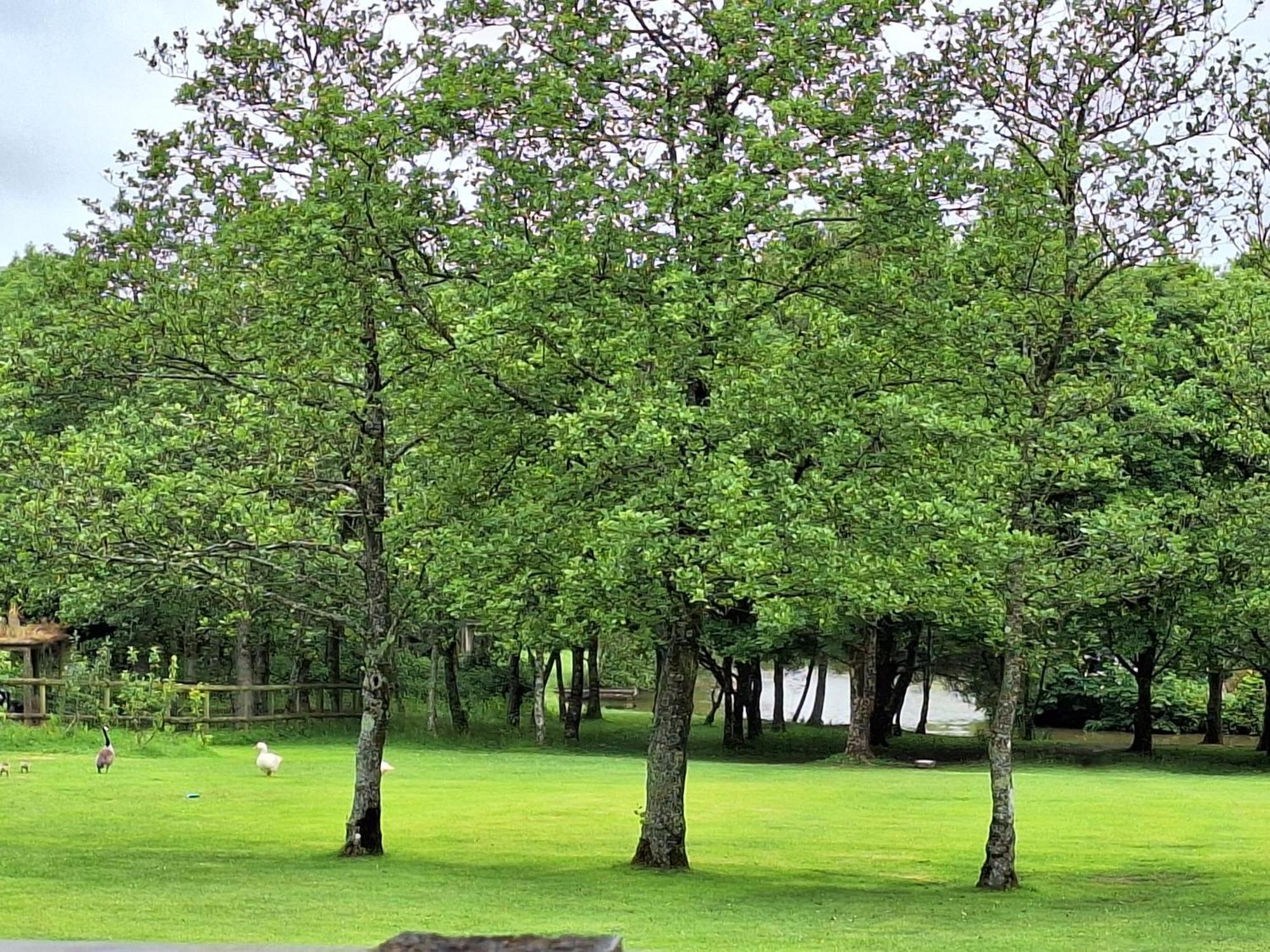 Thornbury Holiday Park Holiday park 4*